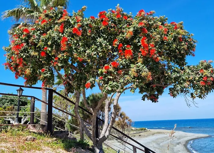 Astrofegia Beachfront Πωμός