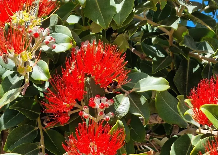 Astrofegia Beachfront