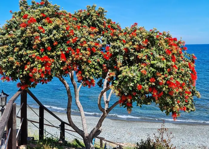 Astrofegia Beachfront